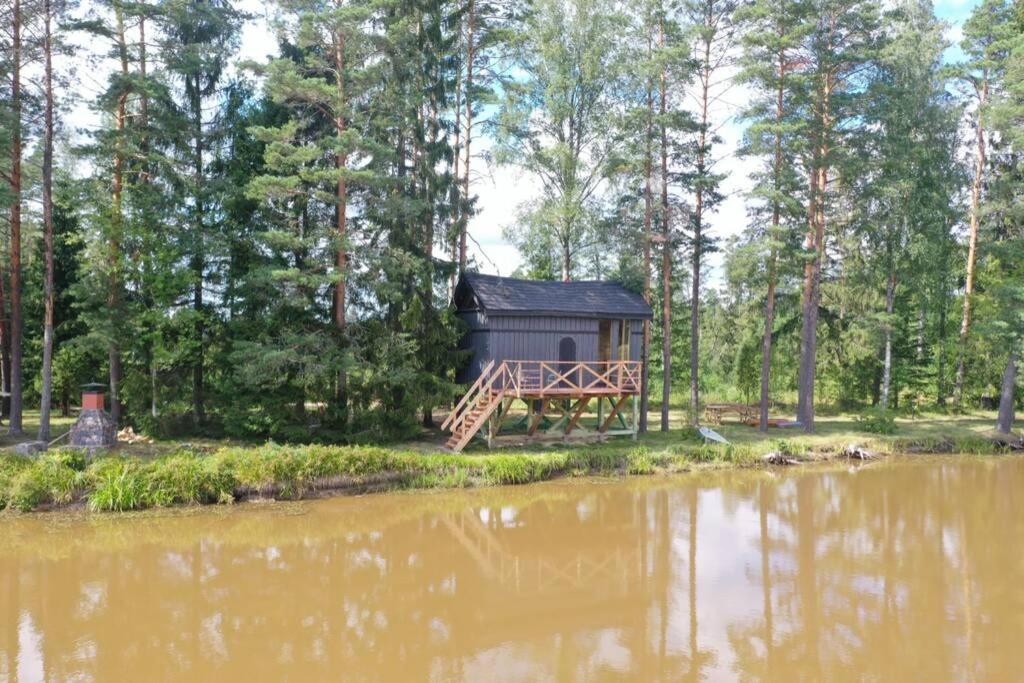 Dragon House In The Tree! Jacuzzi, Sauna ,Cinema,Heated Lici  Bagian luar foto