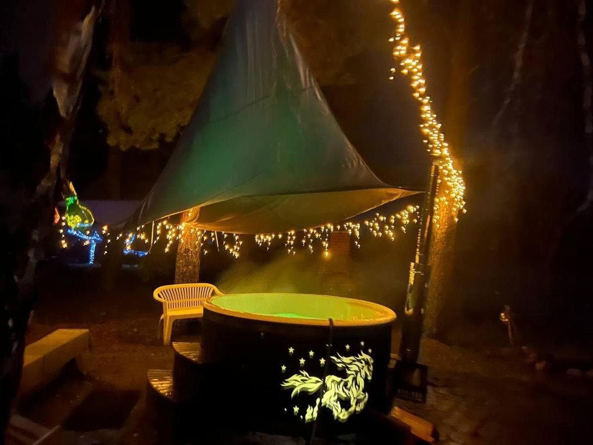 Dragon House In The Tree! Jacuzzi, Sauna ,Cinema,Heated Lici  Bagian luar foto